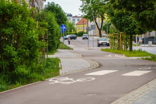 Ścieżka rowerowa otoczona roślinami